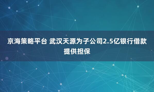 京海策略平台 武汉天源为子公司2.5亿银行借款提供担保