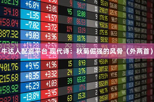 牛达人配资平台 现代诗:秋菊倔强的风骨(外两首)