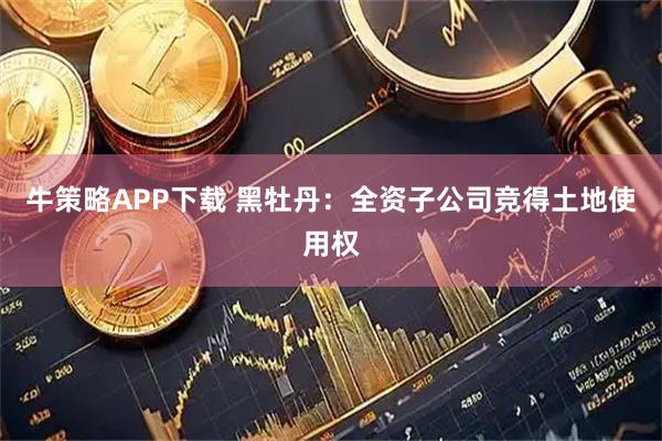 牛策略APP下载 黑牡丹：全资子公司竞得土地使用权
