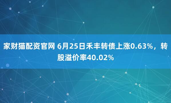 家财猫配资官网 6月25日禾丰转债上涨0.63%，转股溢价率40.02%