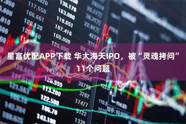 星富优配APP下载 华大海天IPO，被“灵魂拷问”11个问题