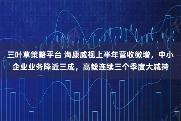 三叶草策略平台 海康威视上半年营收微增，中小企业业务降近三成，高毅连续三个季度大减持
